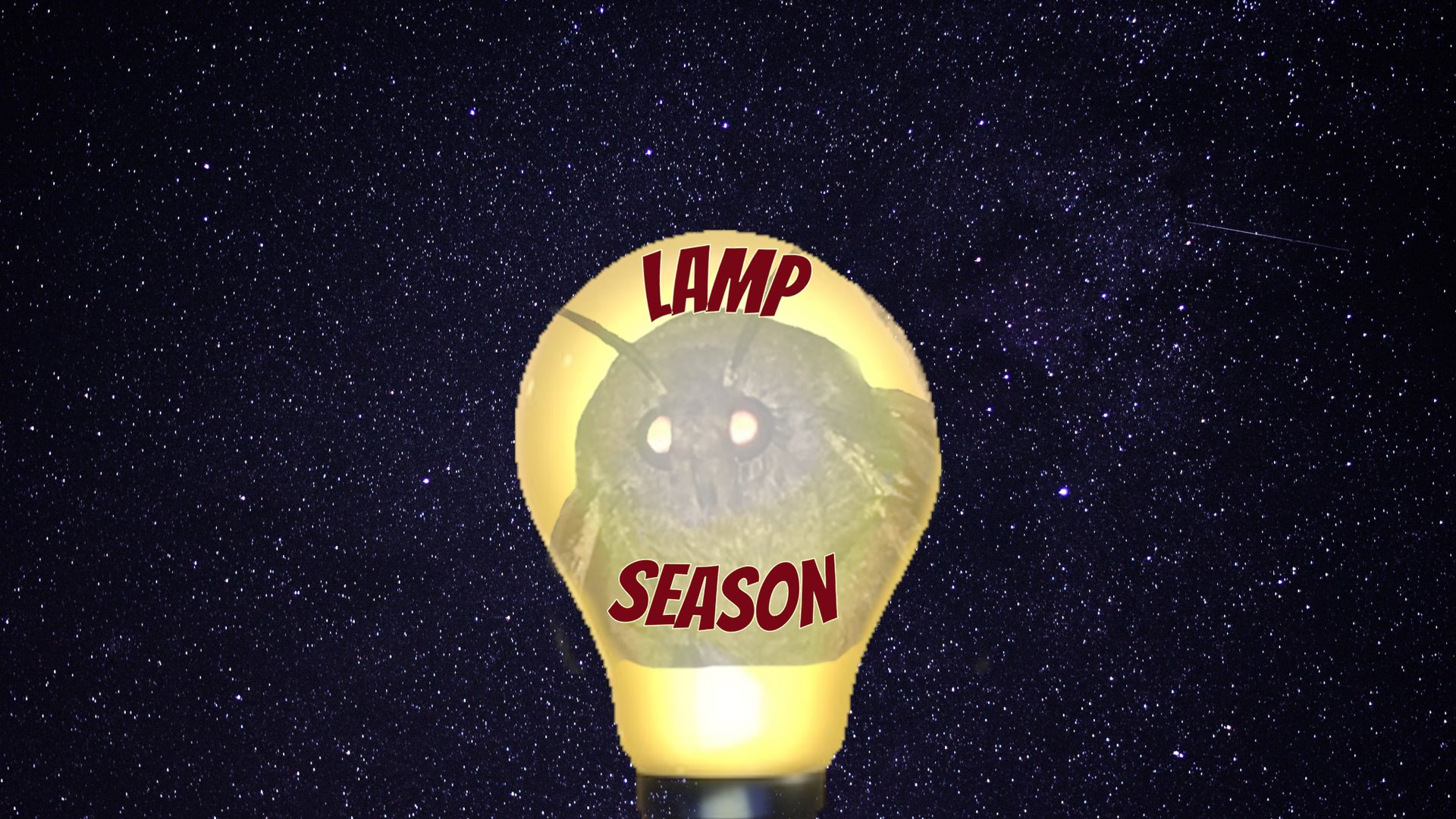 LampSZN banner