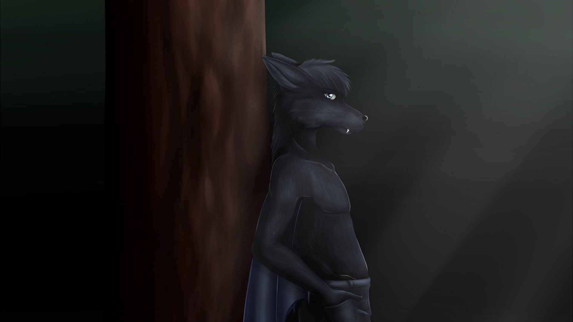 LeFunSeeker banner