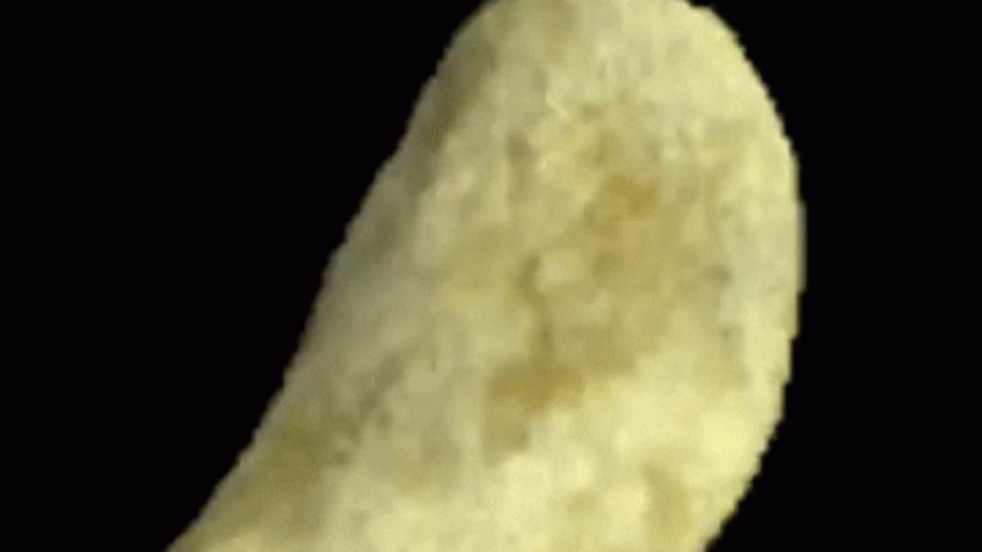 levokot_ banner