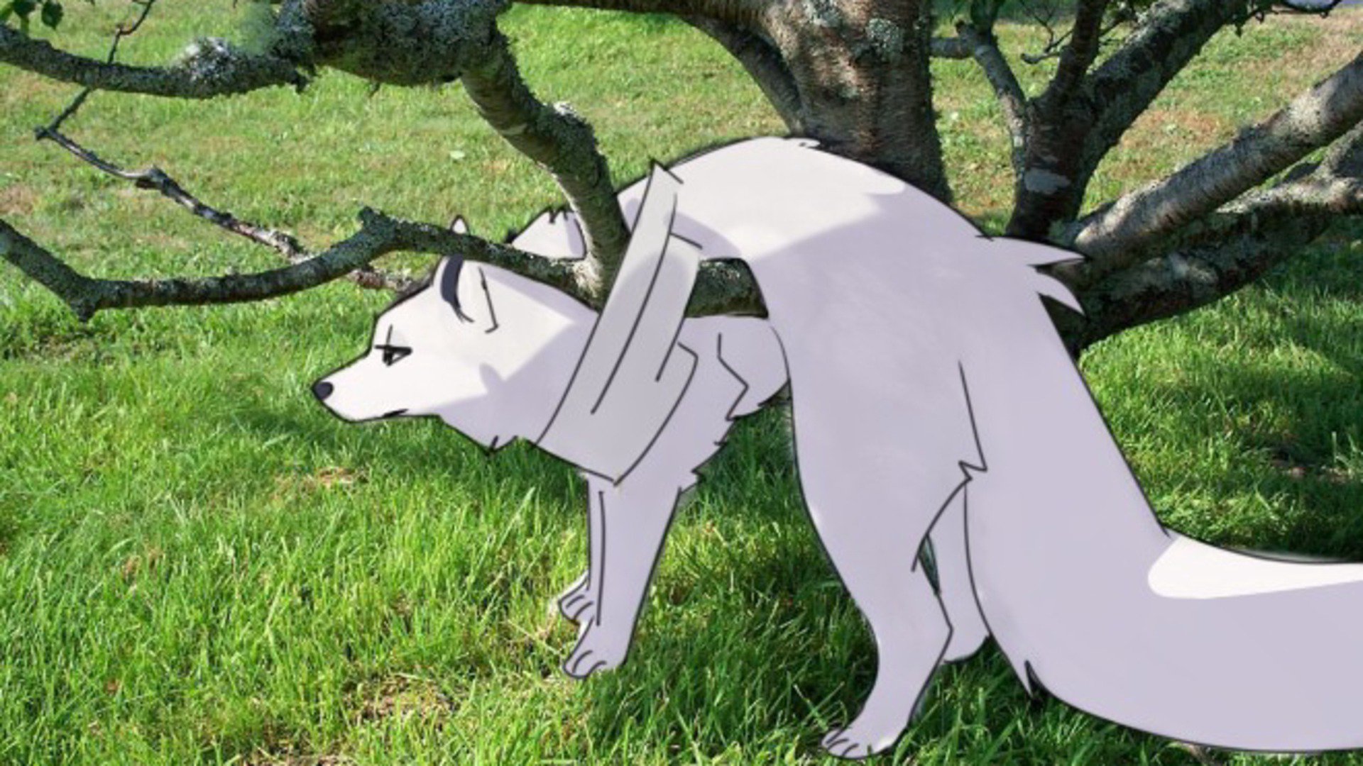 Likesakiii banner