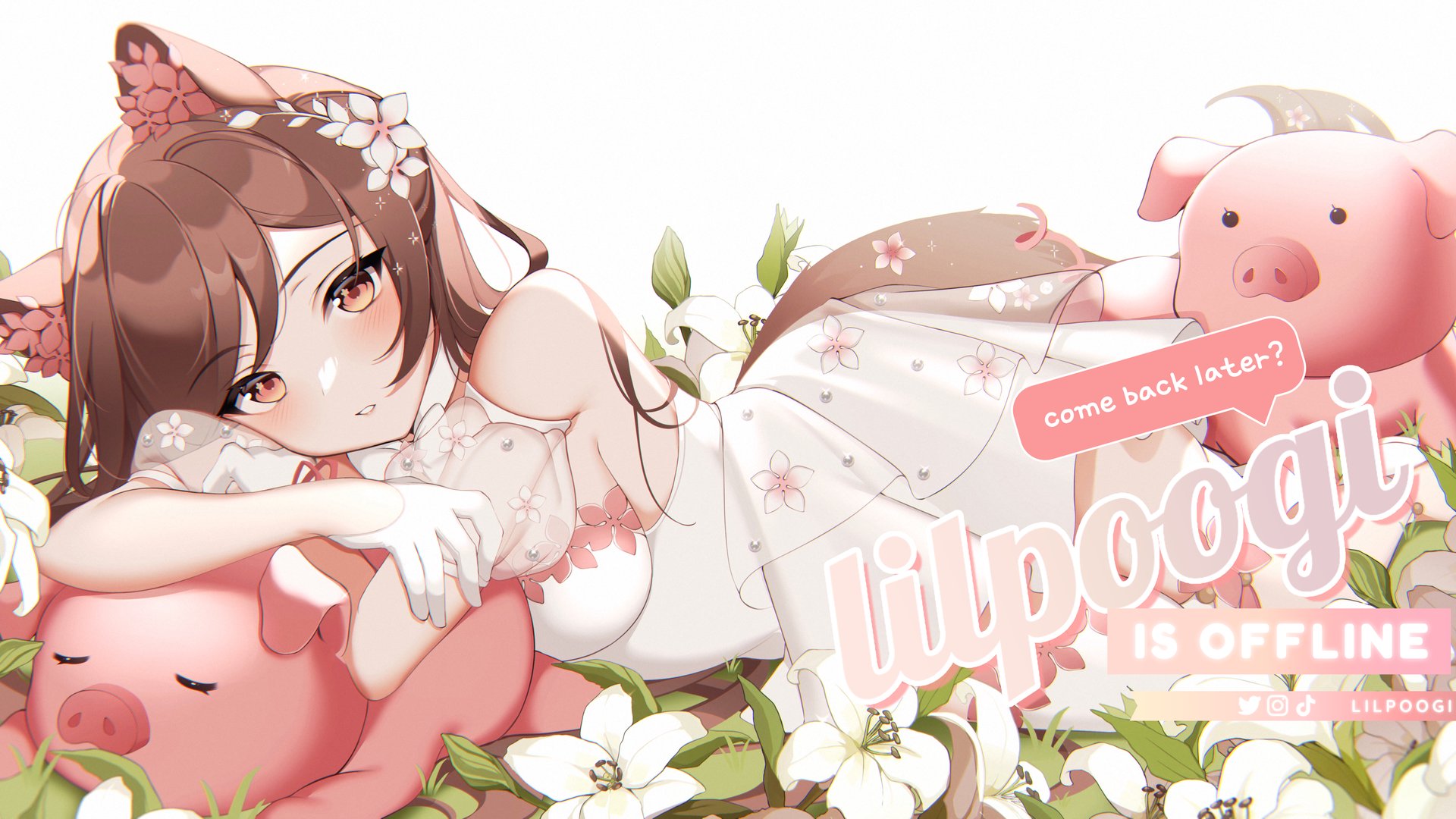 lilpoogi banner