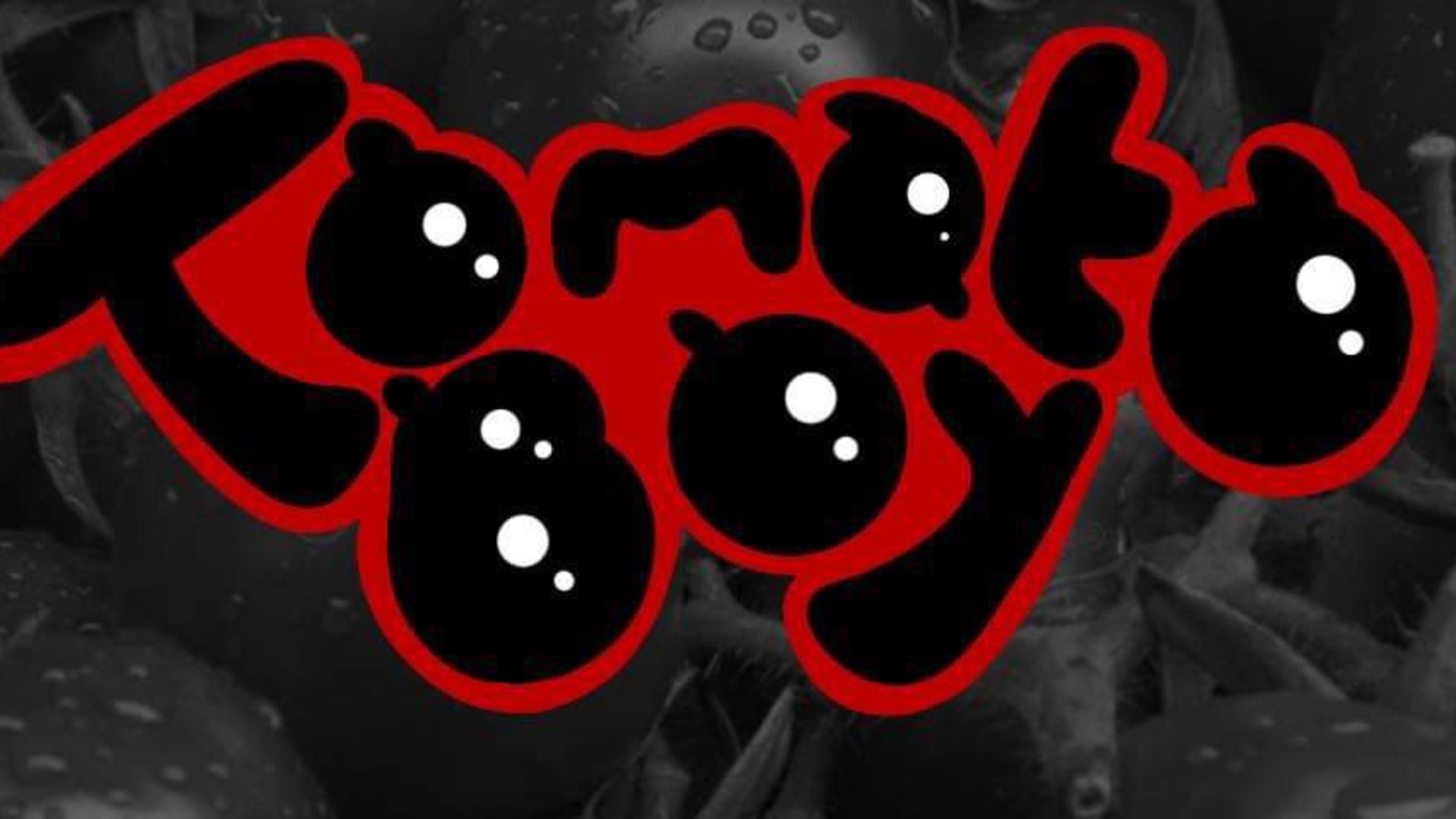 LittleTomatoBoy banner