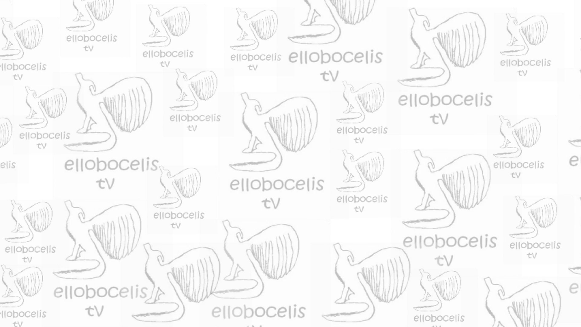 LoboCelis banner