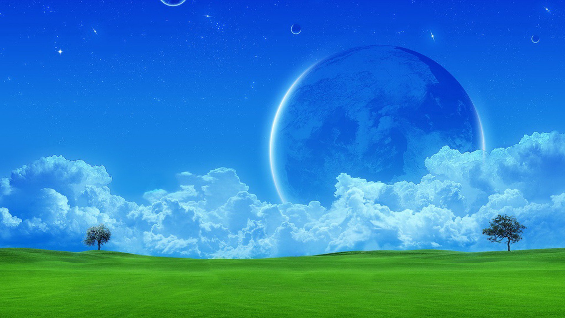 Loh_D banner