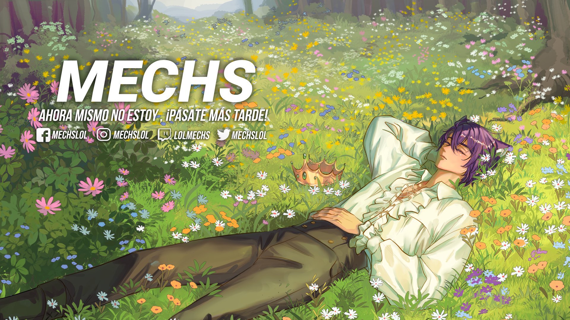 Mechs banner