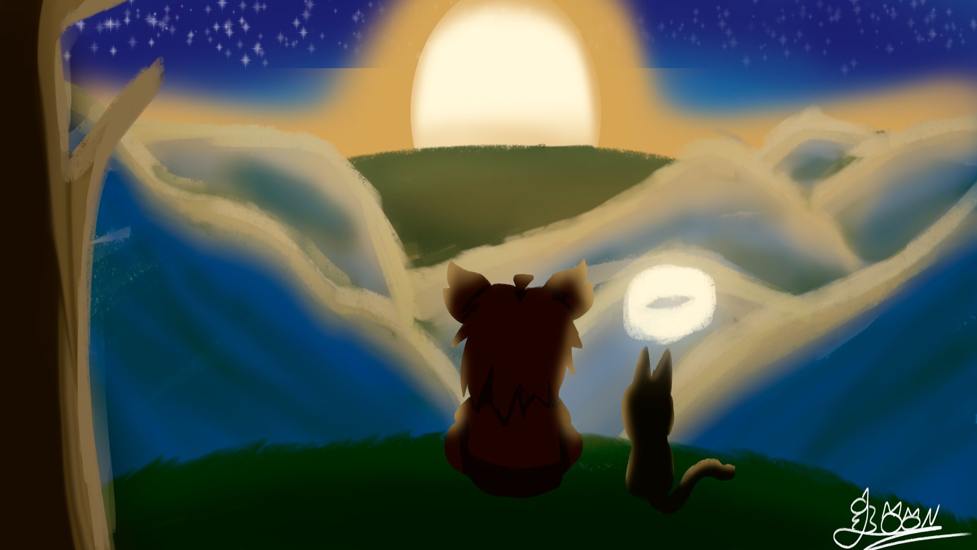 Loon_VT banner