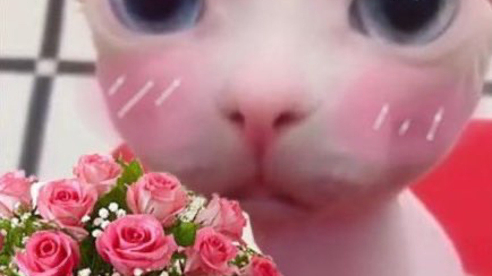 LufflinLive banner