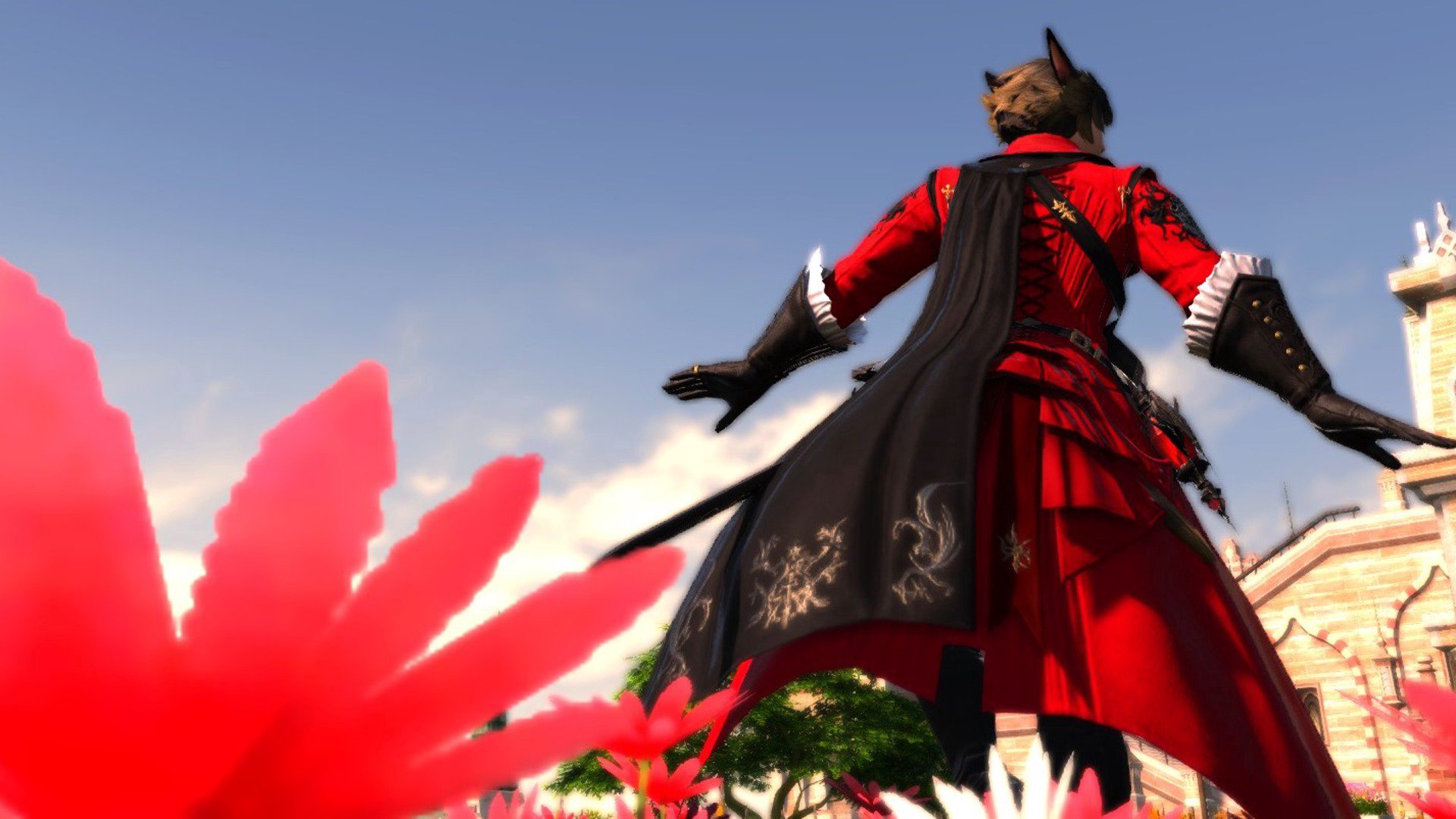 Luke_Aurora banner