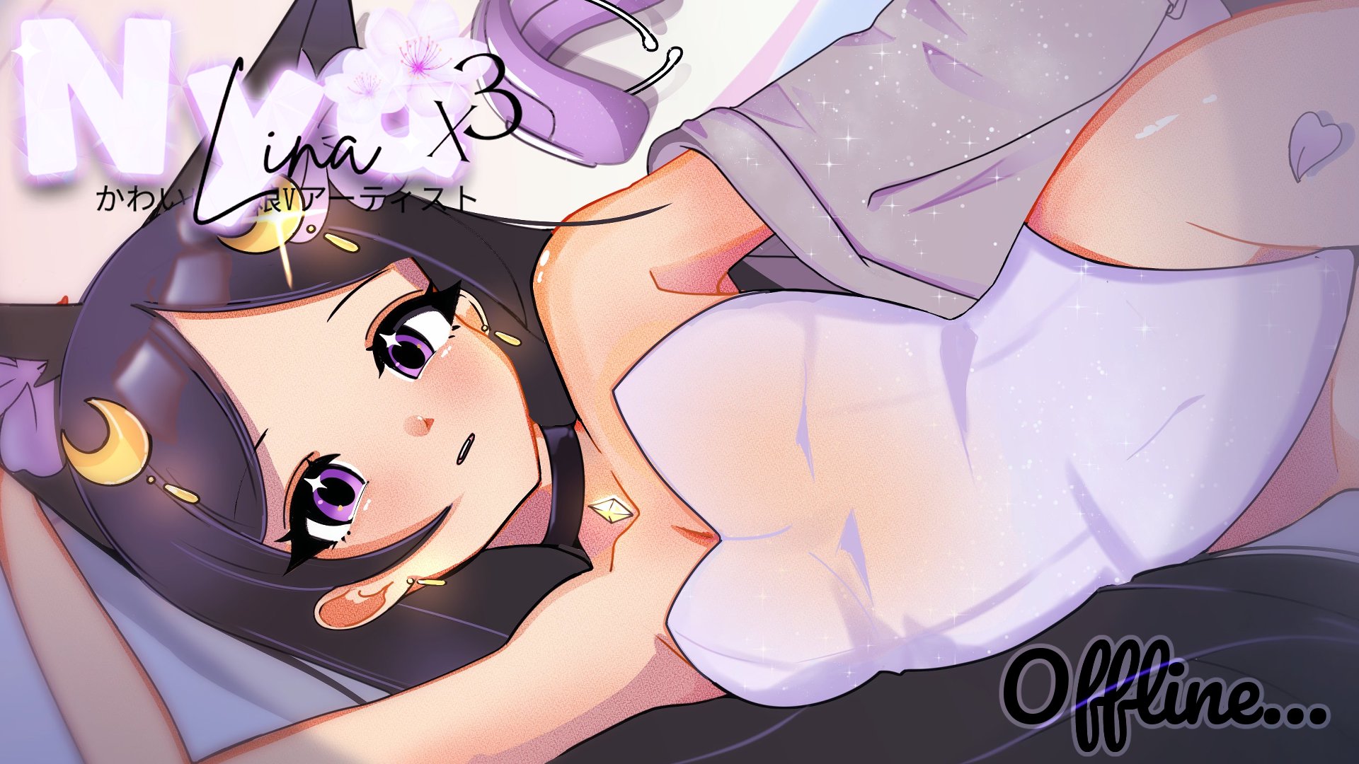nyalinax3_ banner