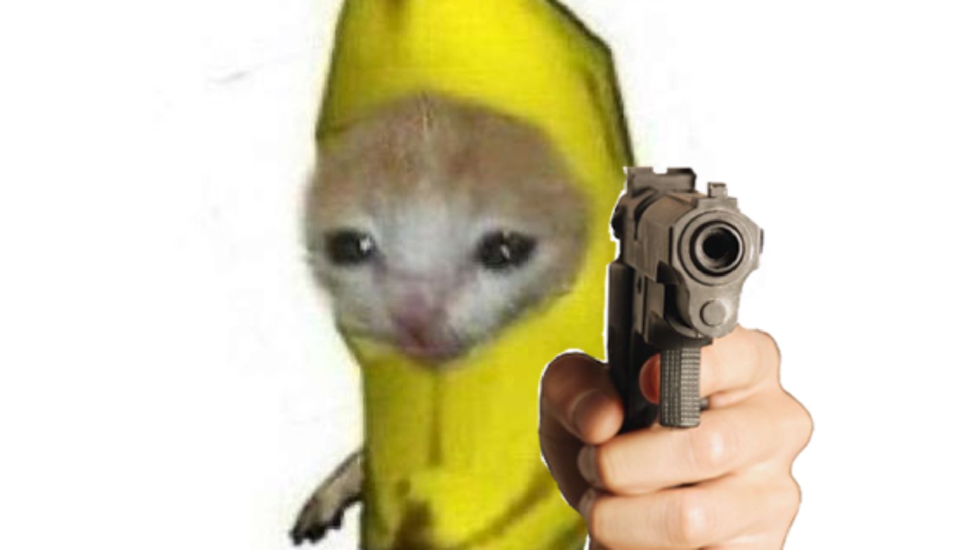 luna_chocomilk banner