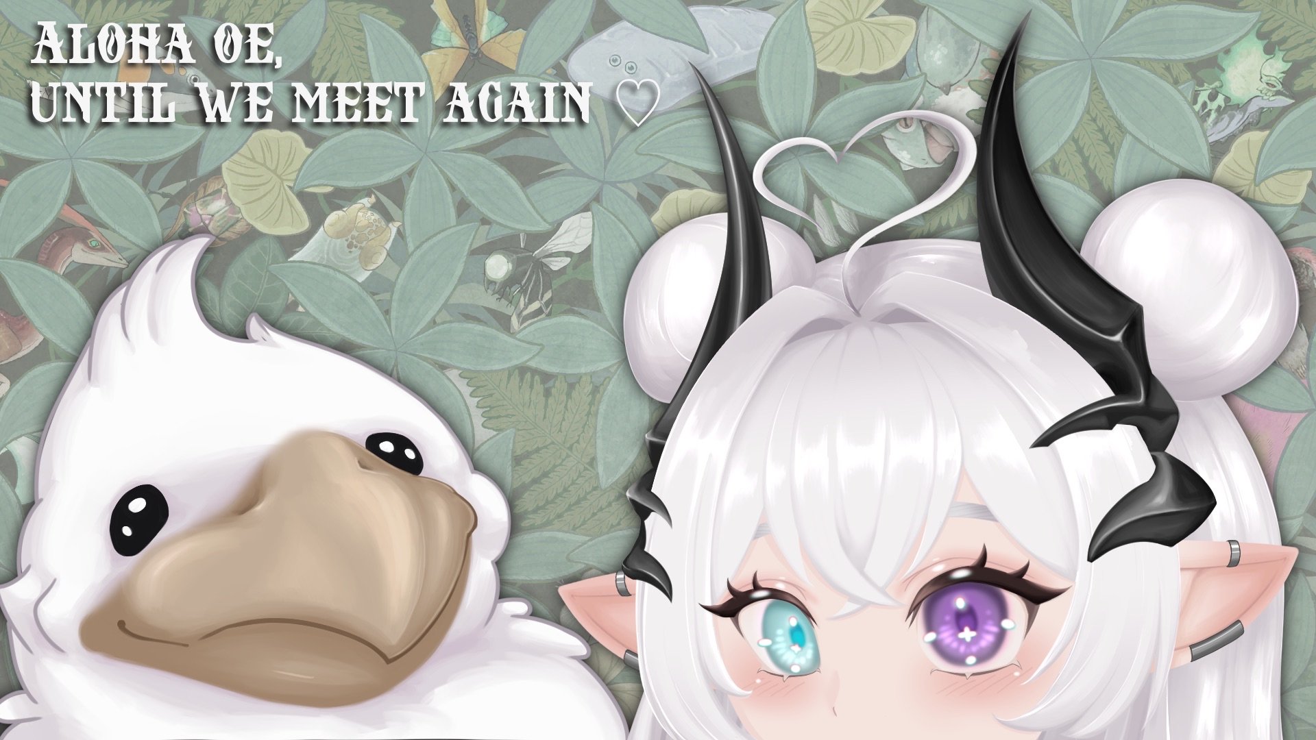 LunaBooty banner