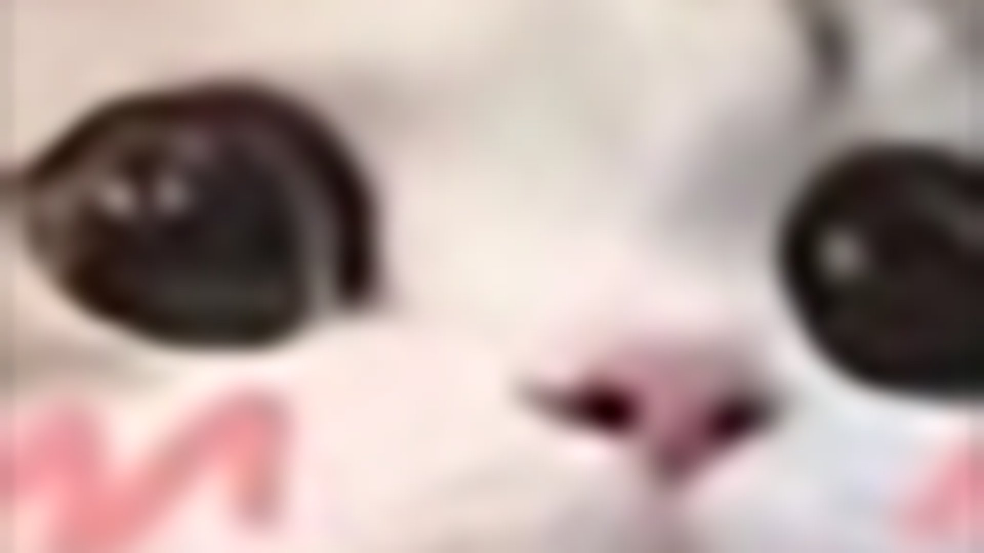 LuvelyMilk banner