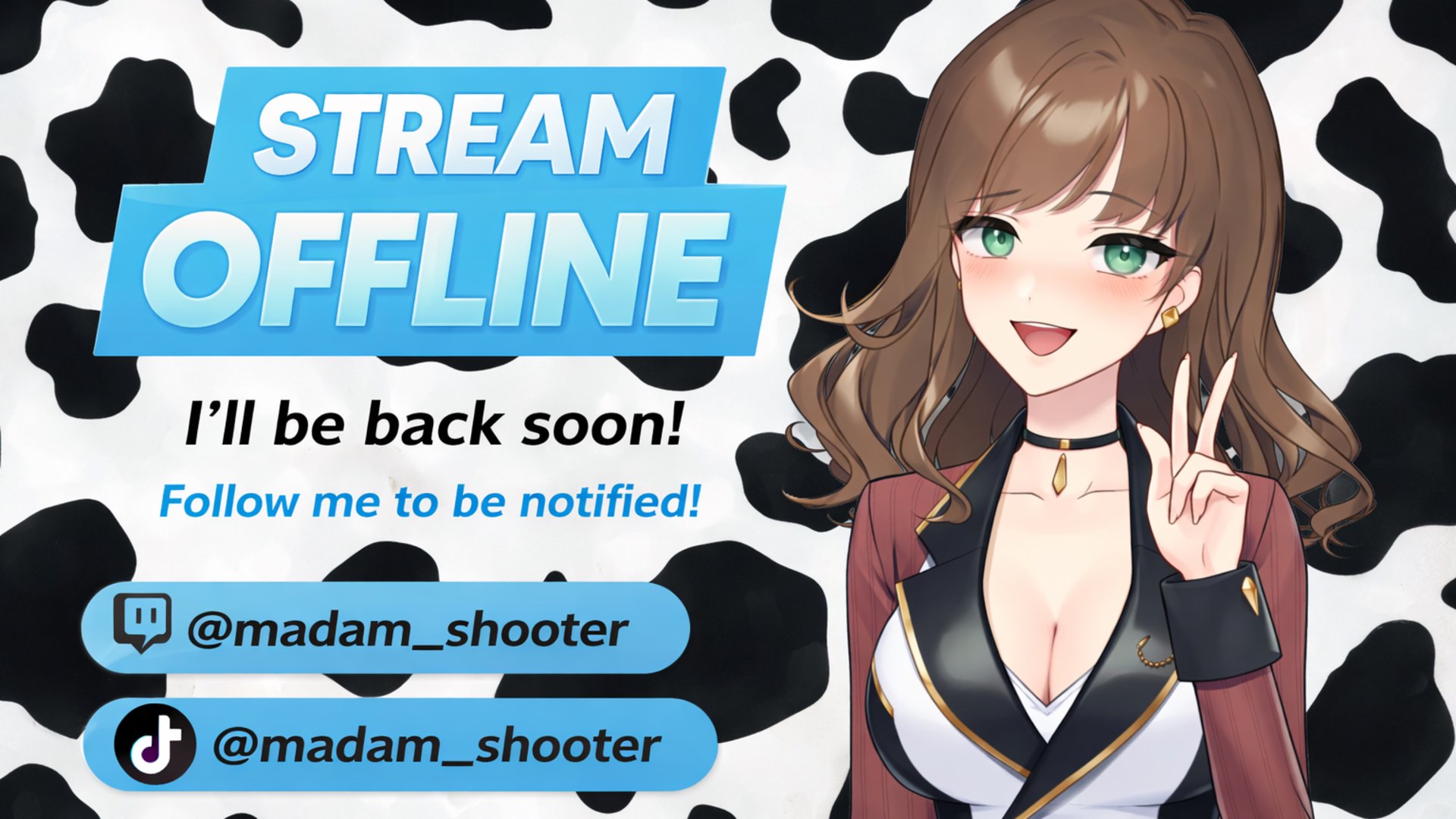 Madam_Shooter banner