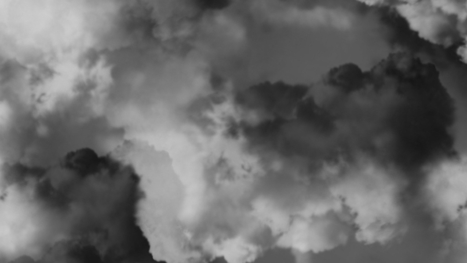 Maddiewm banner