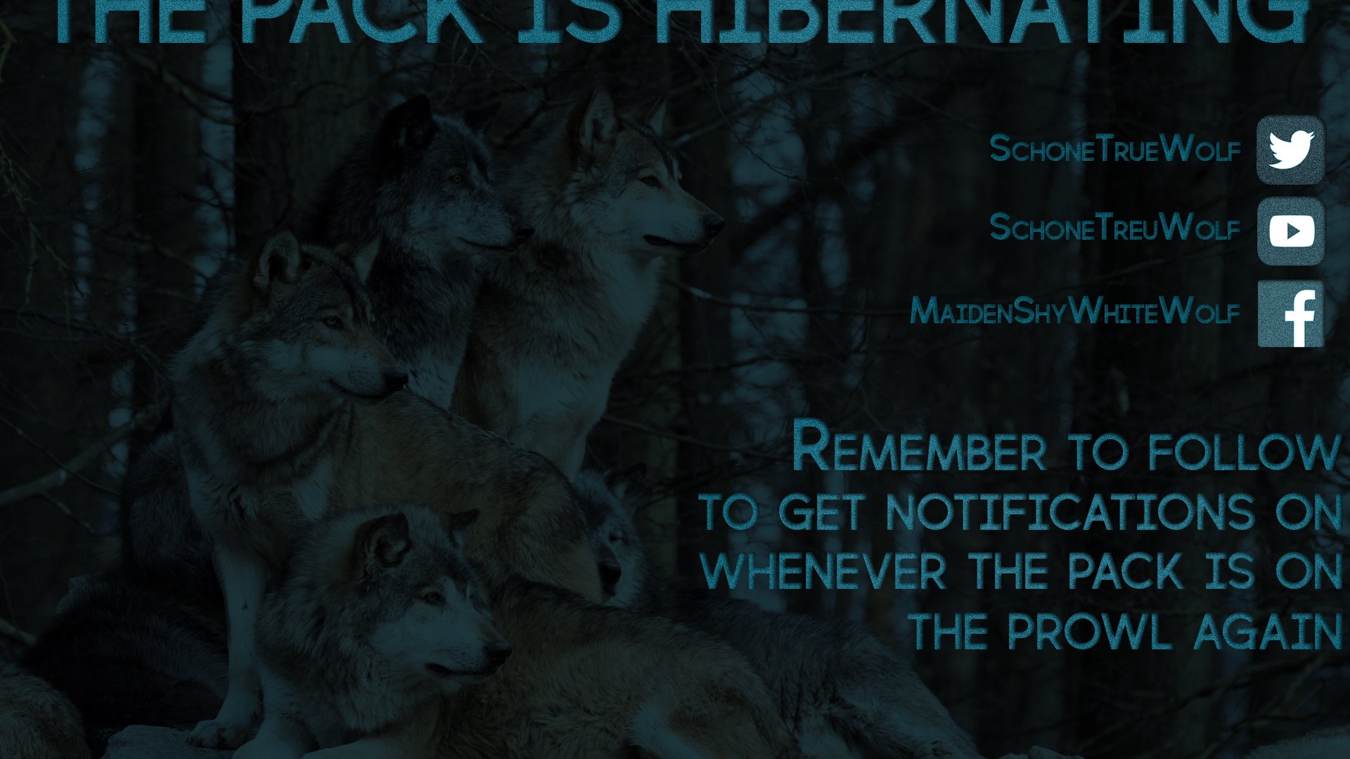 MaidenShyWhiteWolf banner