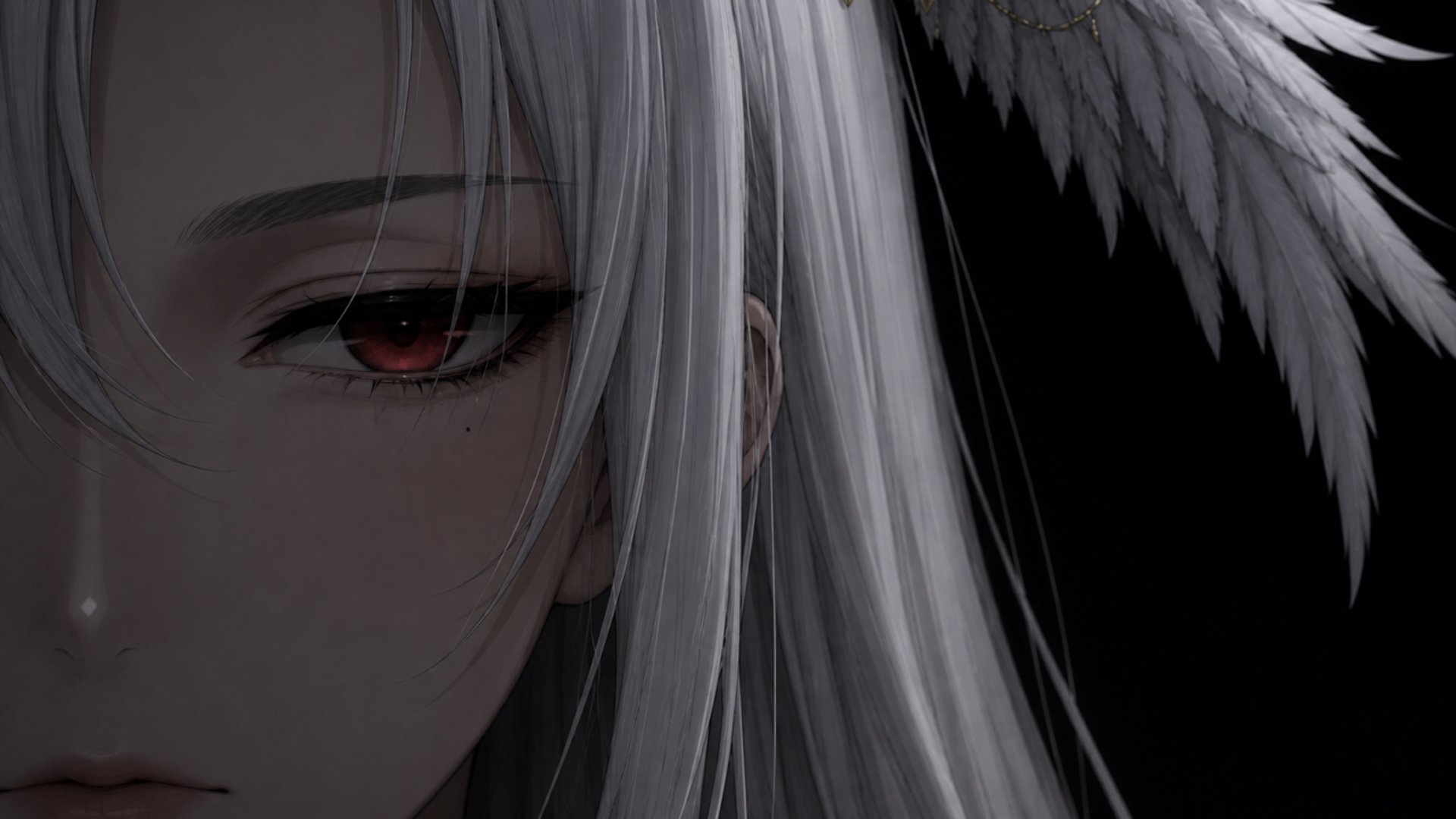 貓敷雪 banner