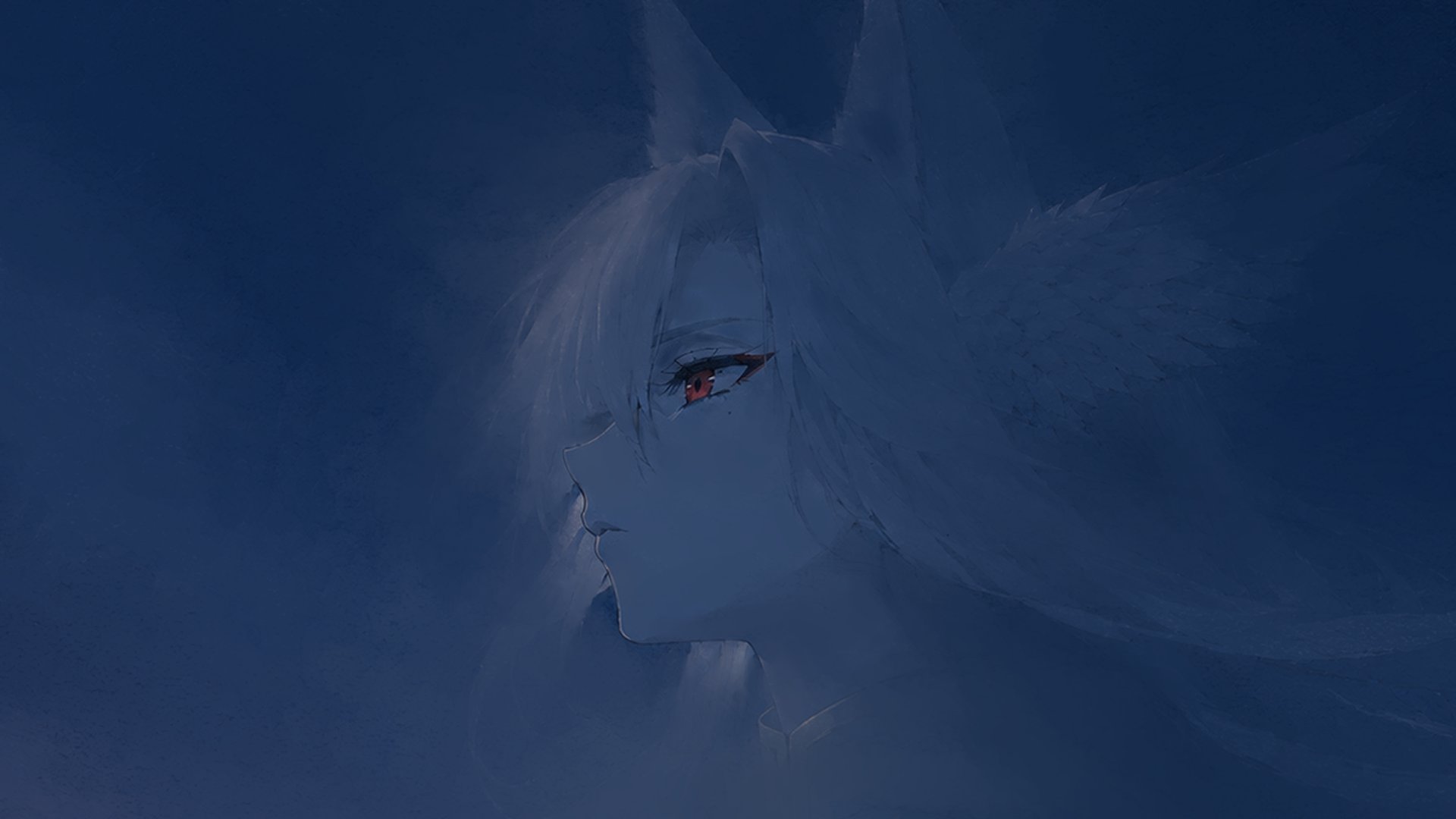 貓敷雪 banner