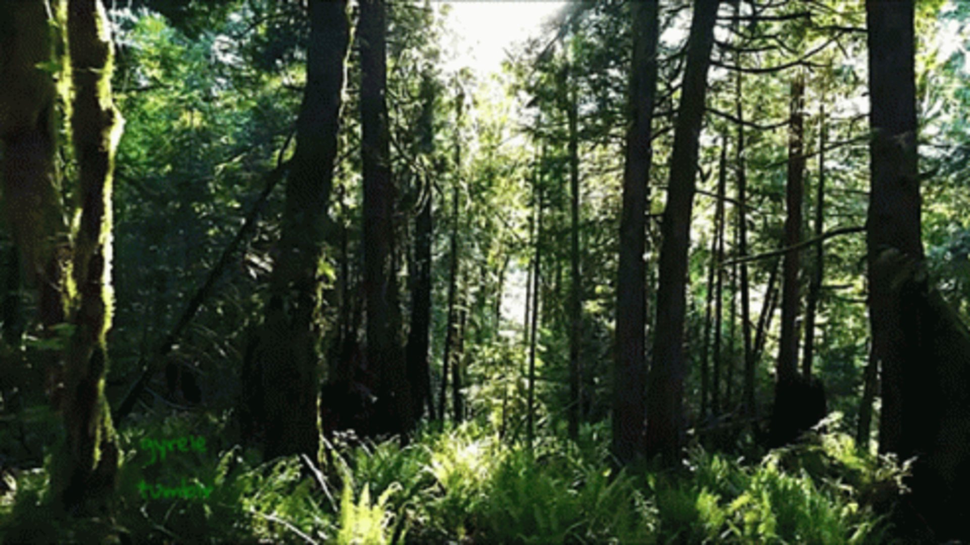 MarryMassy_ banner