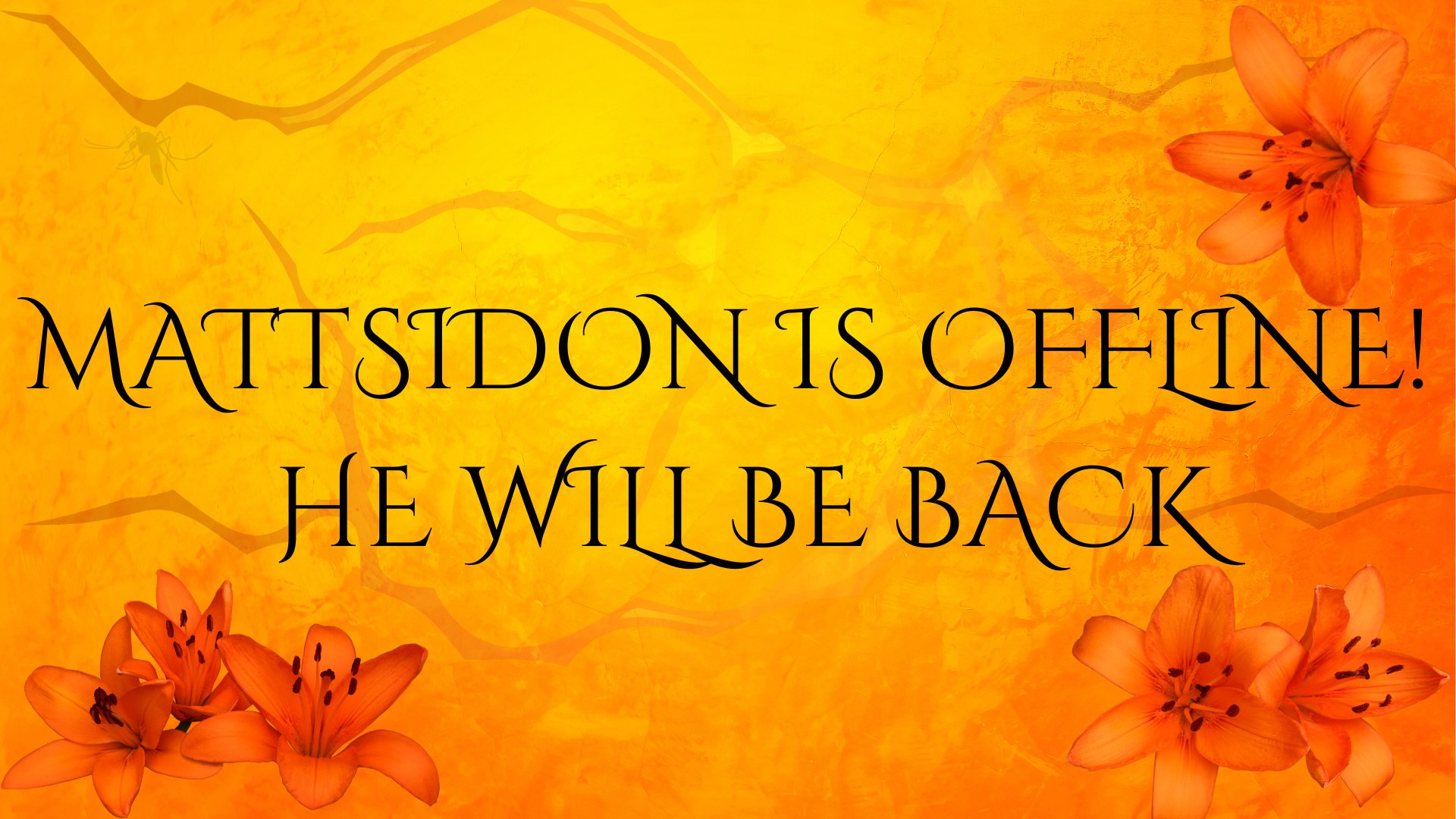Mattseidon banner