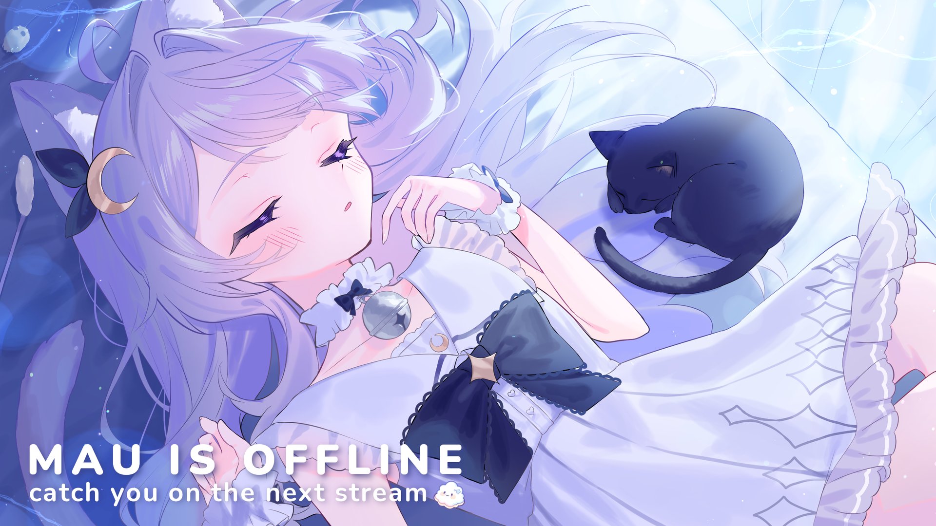 mausleeps banner