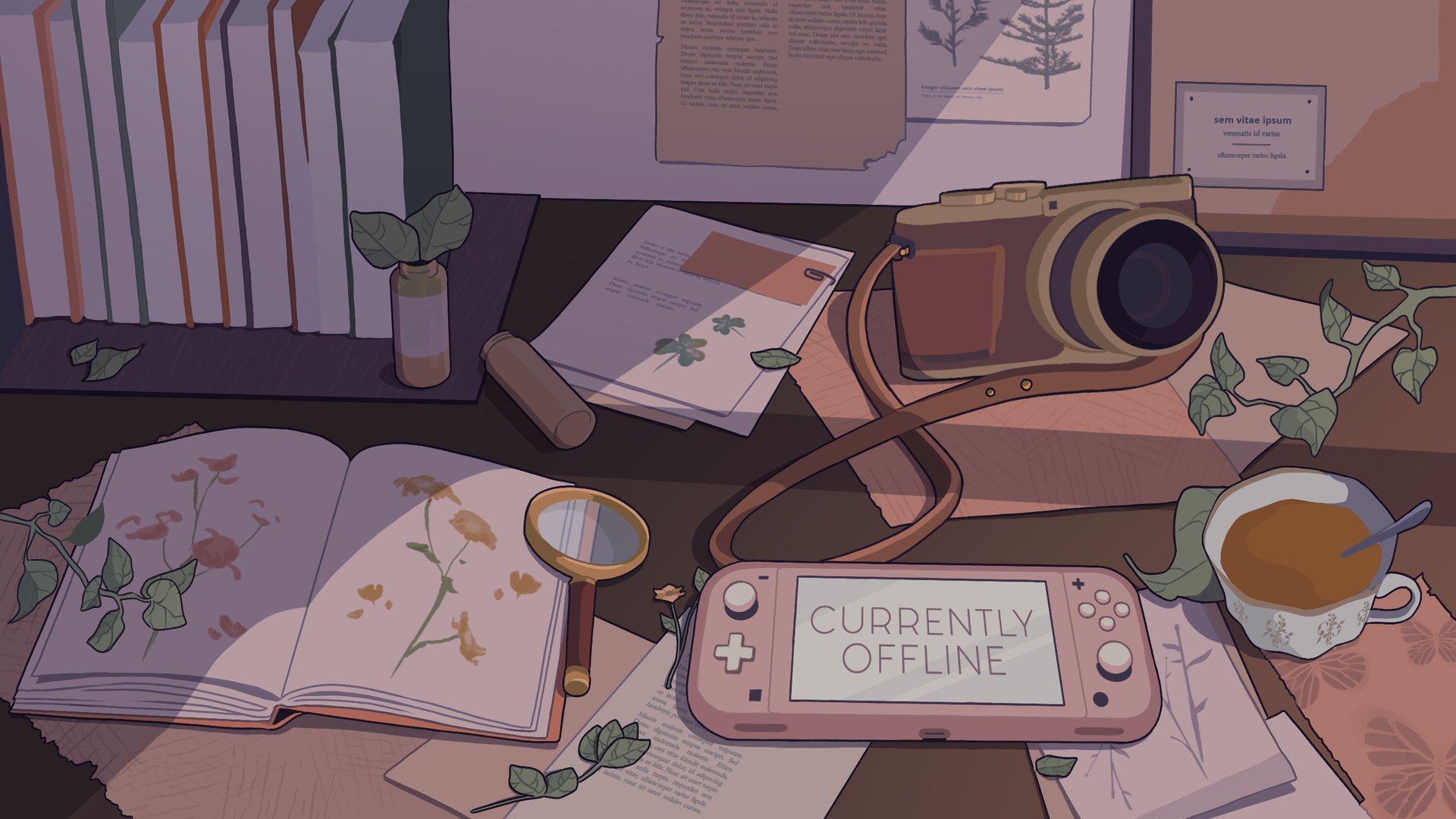 maxxietacos banner