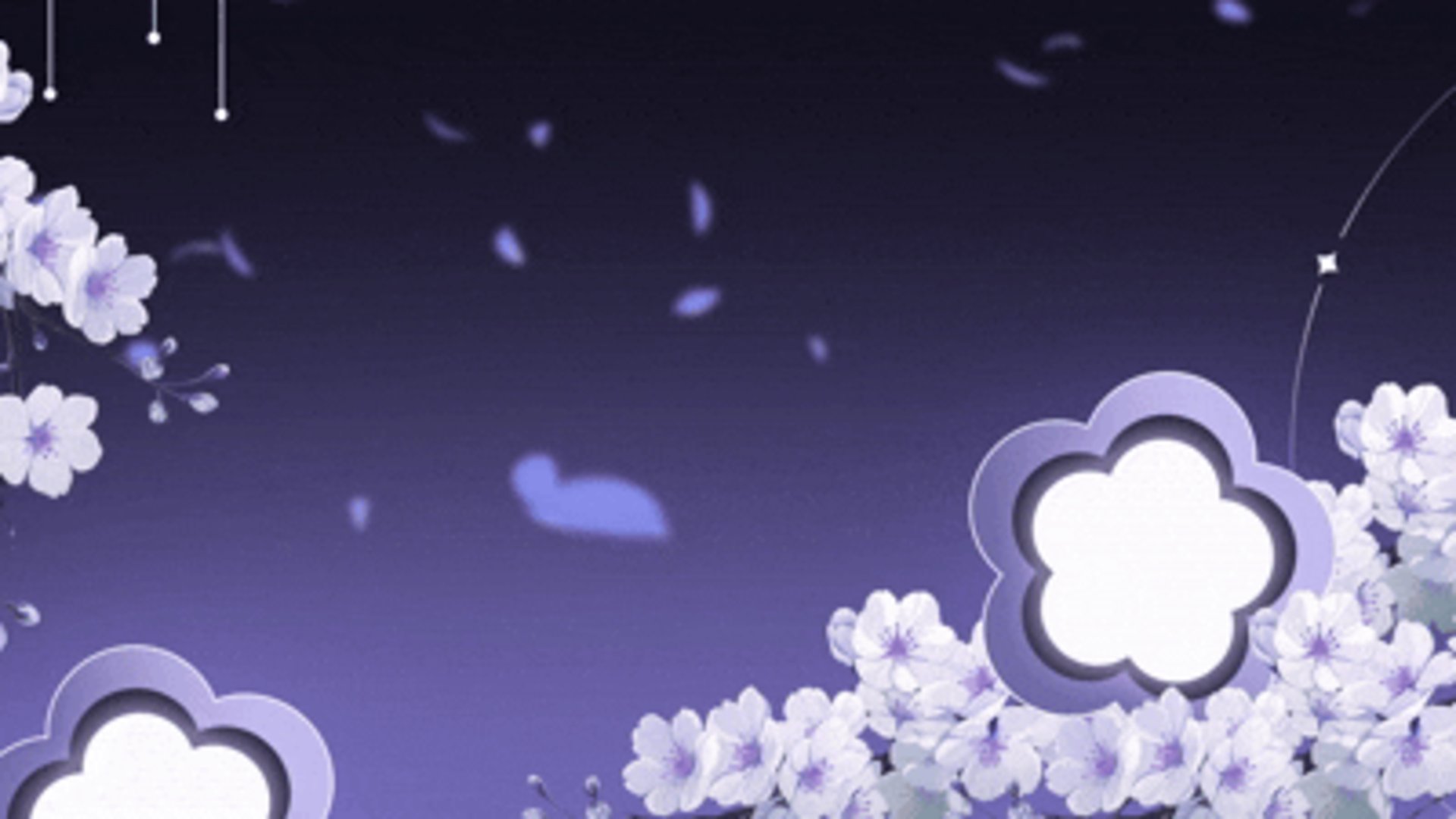 maydream__ banner