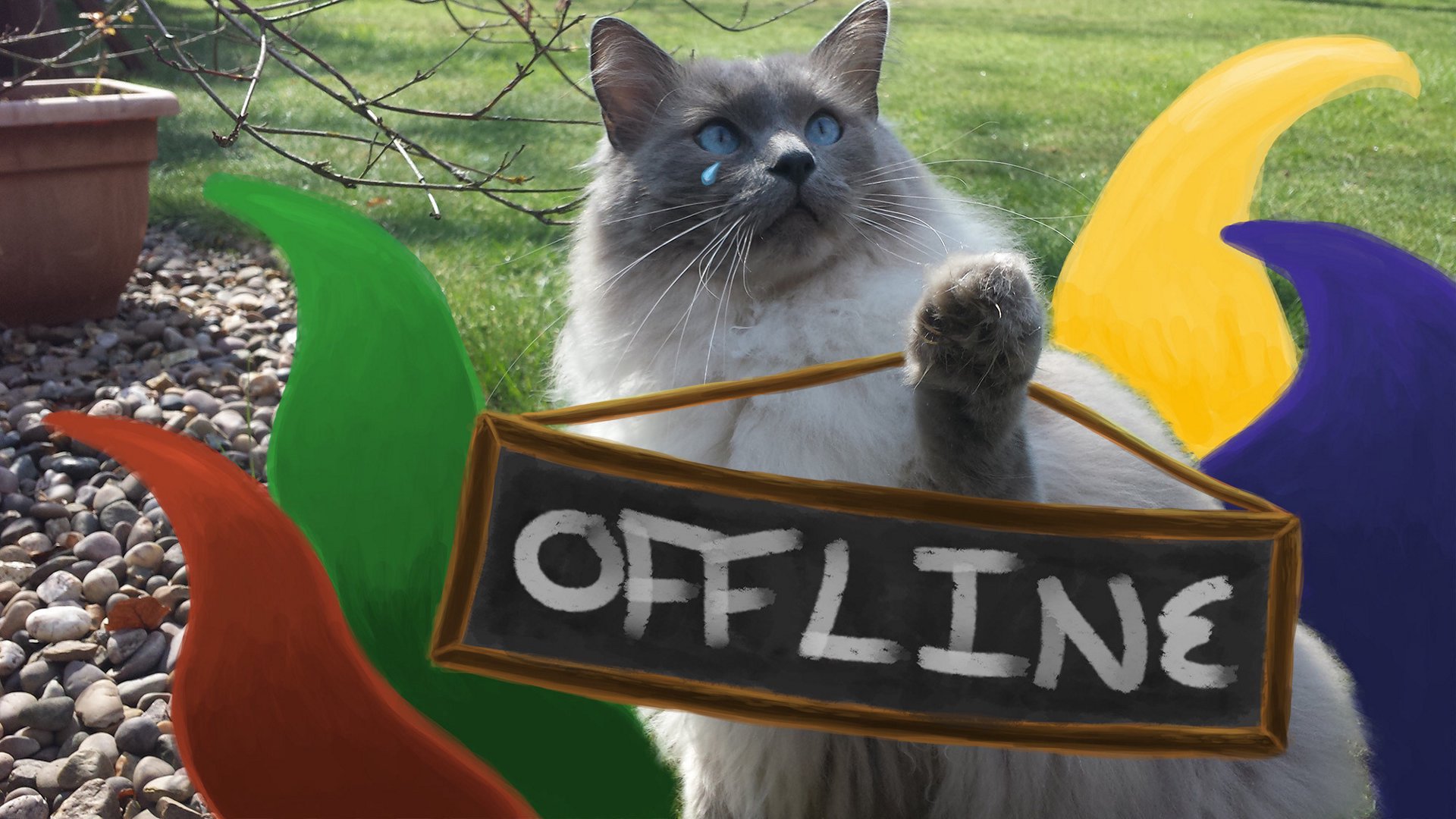 mearkitty banner