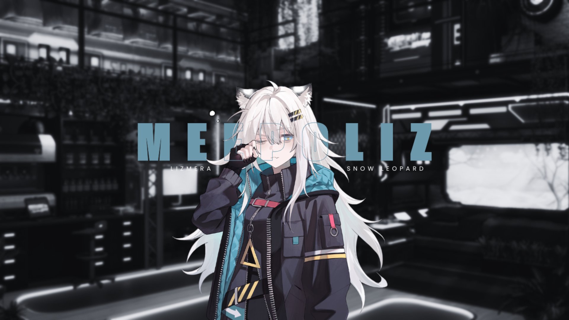 MEEPOliz banner