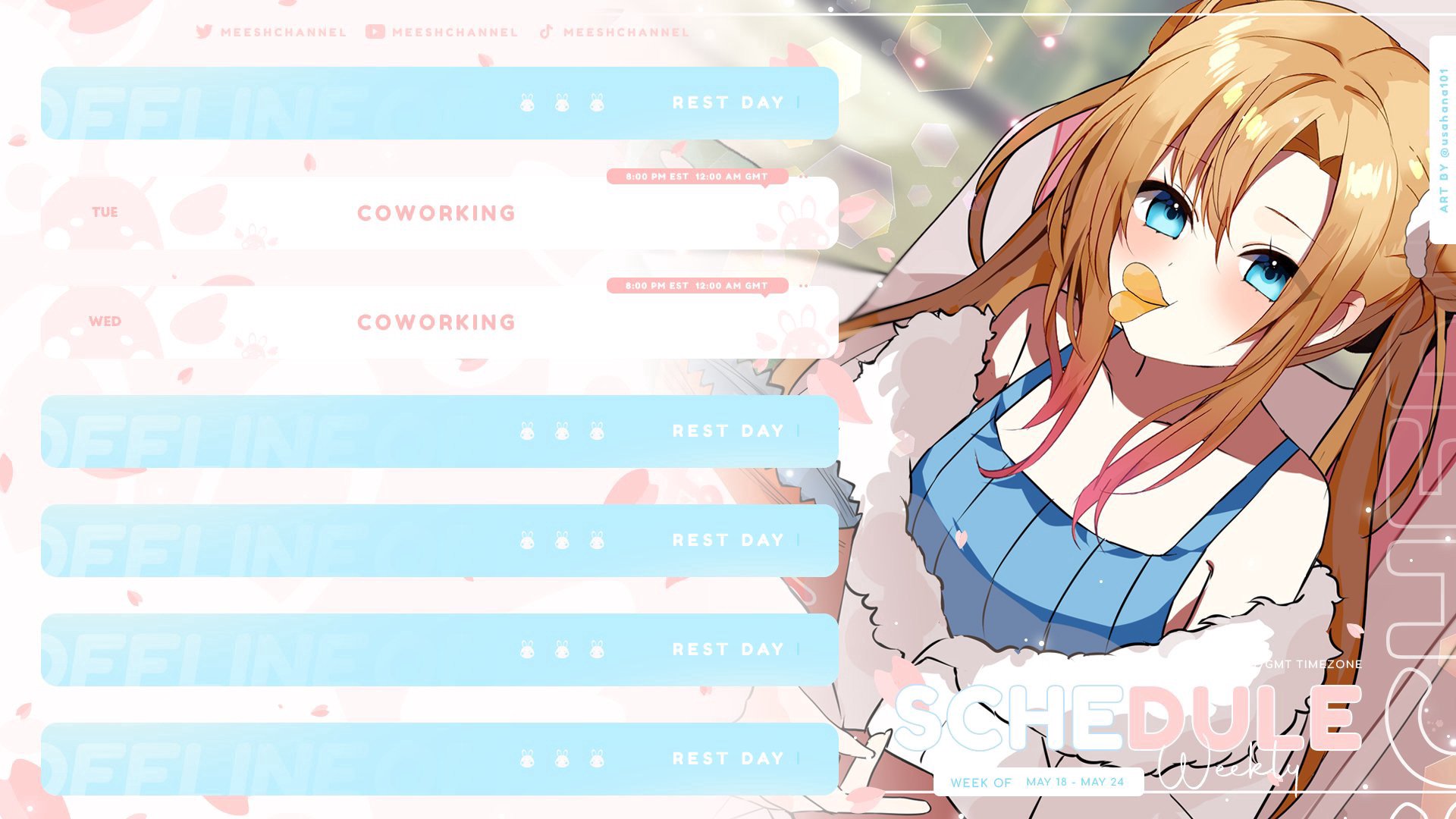 meeshchannel banner