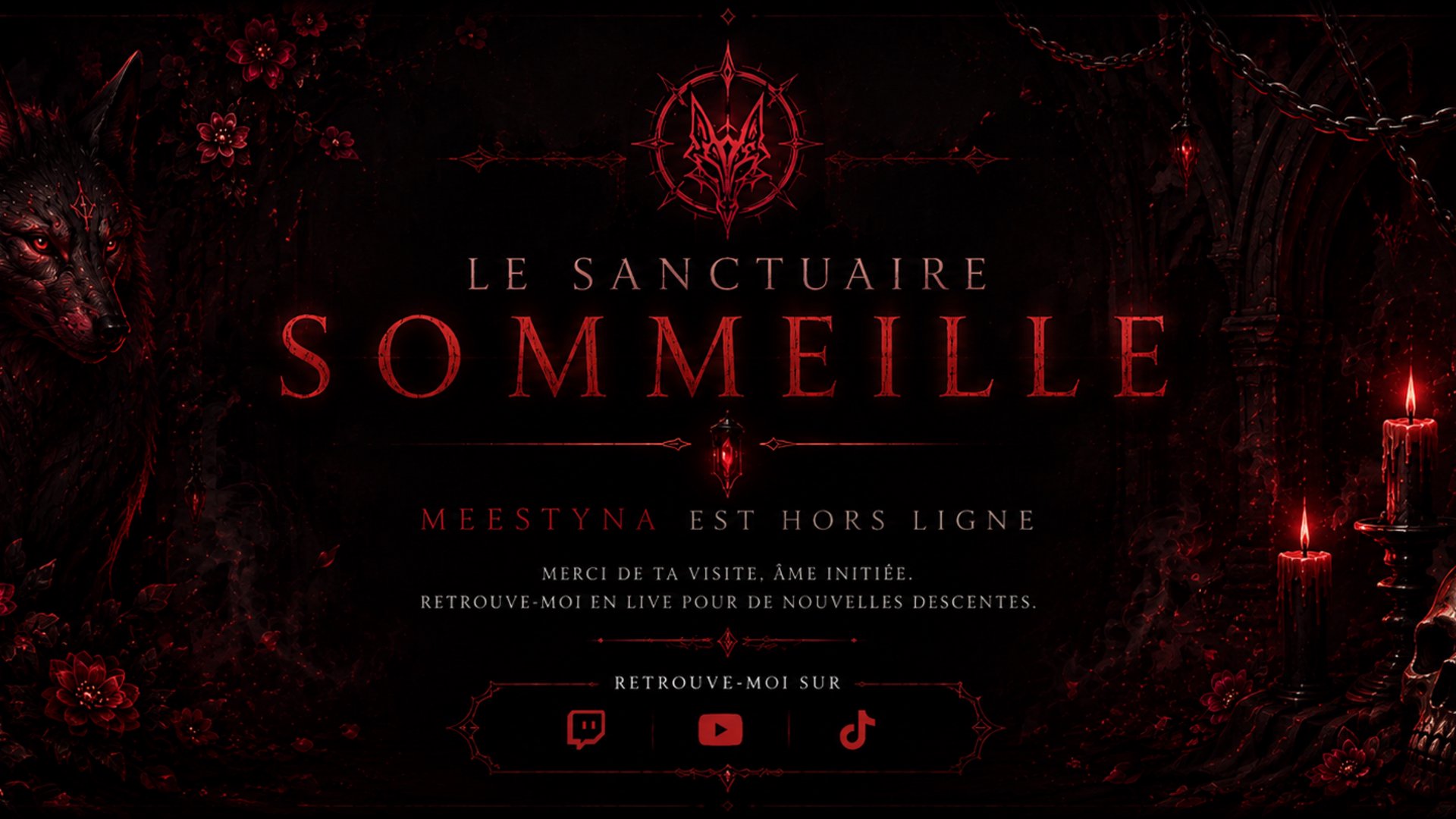 Meestyna banner