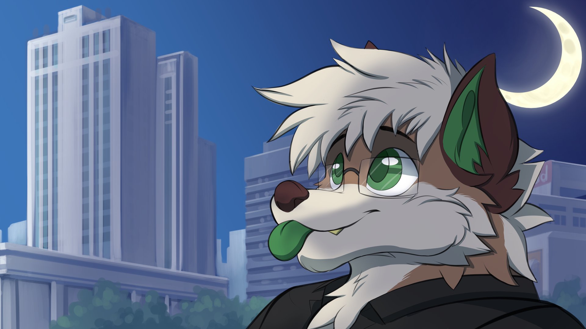 Mega_Koda banner