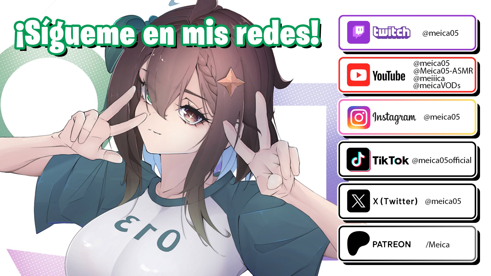 Meica05 banner