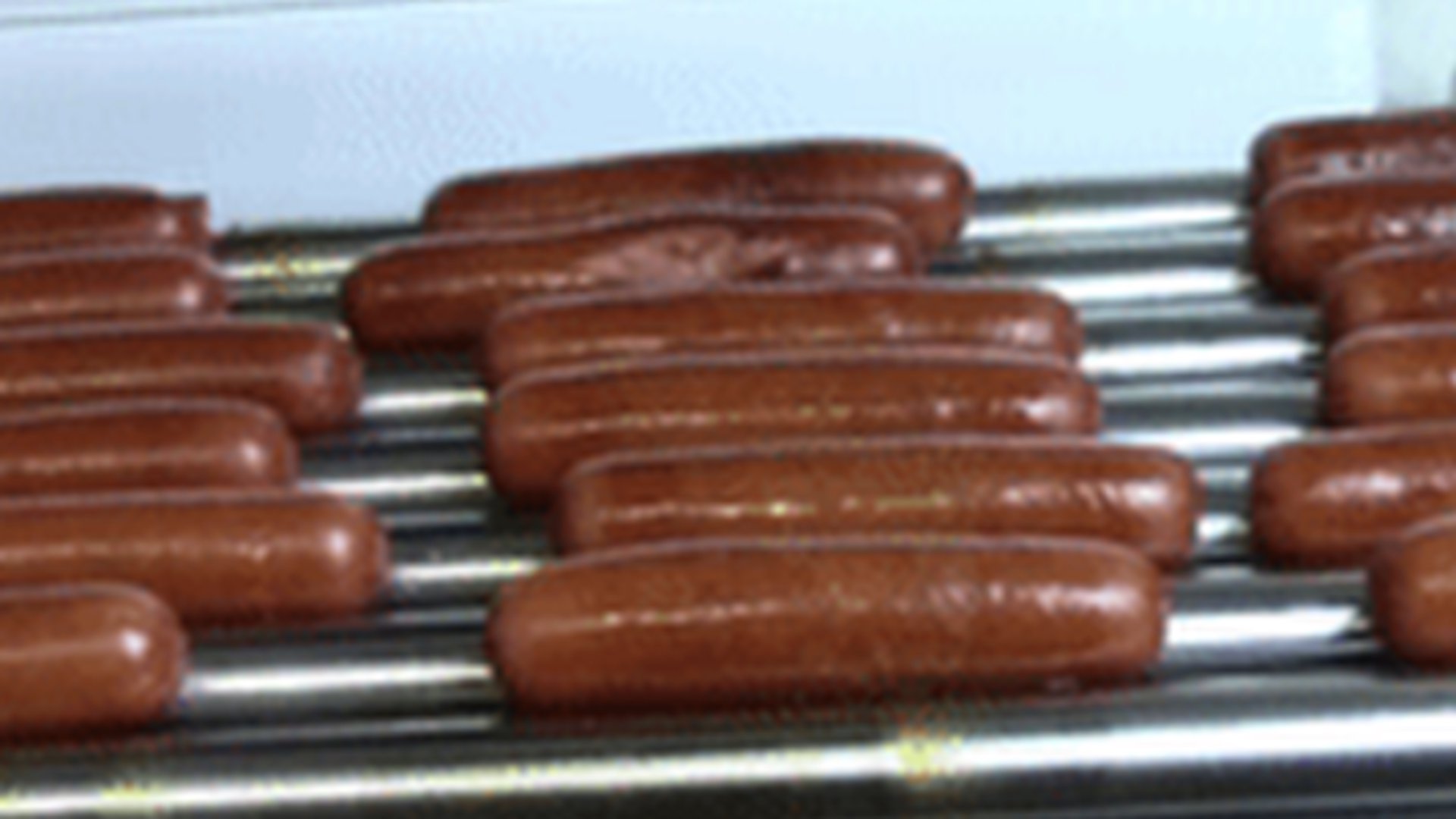melamineshark banner