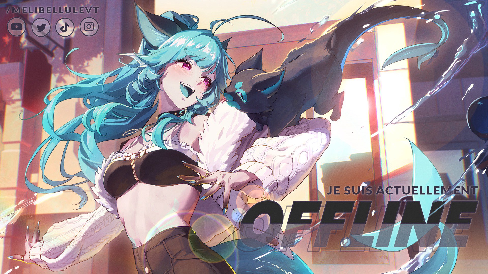 MelibelluleVT banner