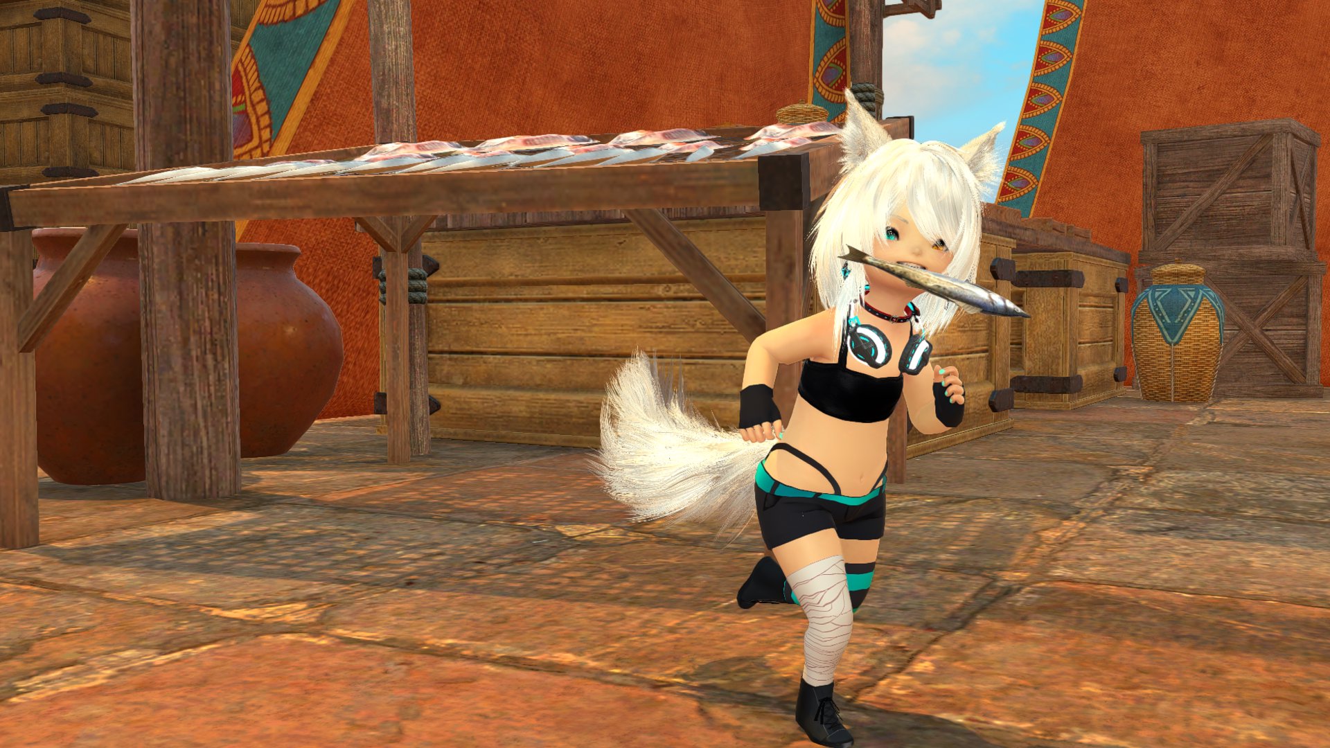 MemoWolfie banner