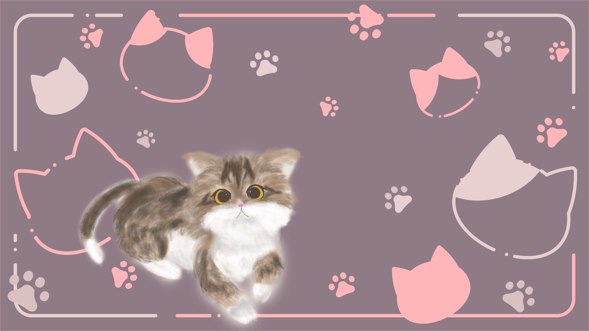 盒中貓 banner
