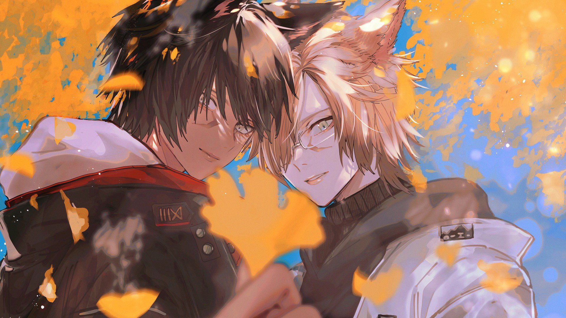 meowmd banner