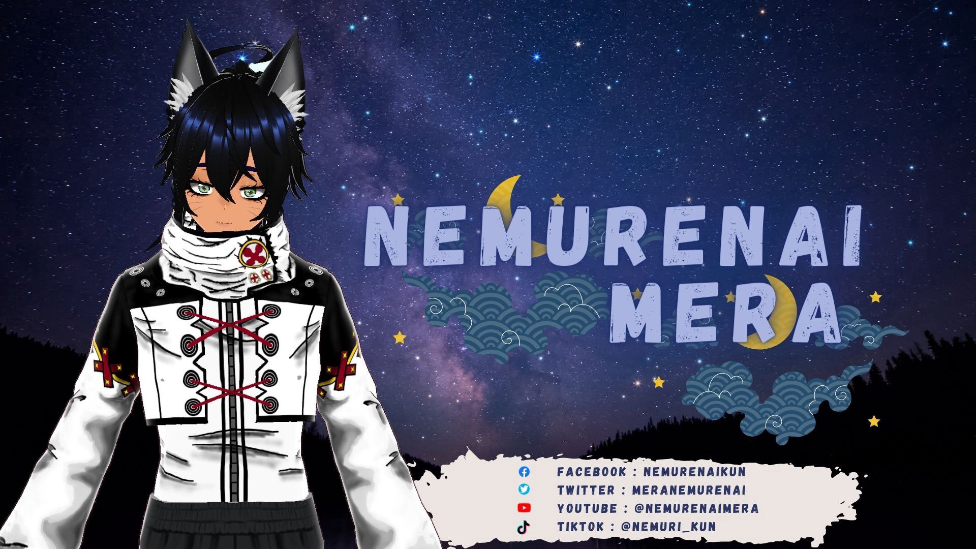 mera_vt banner