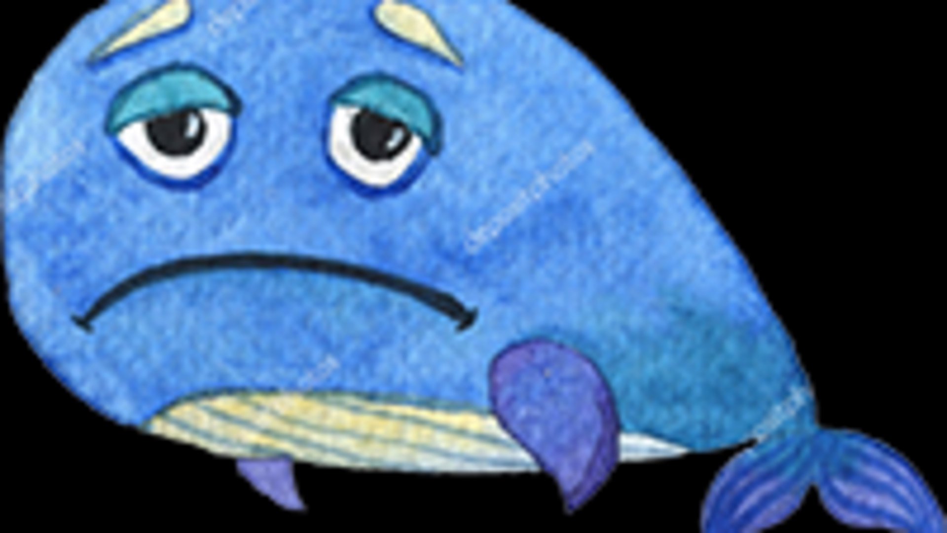 MetzieSharky banner