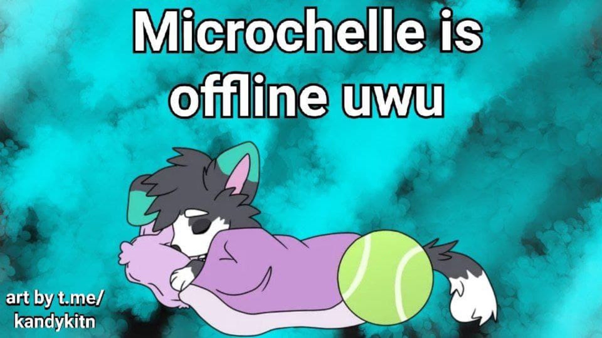 microchelle banner