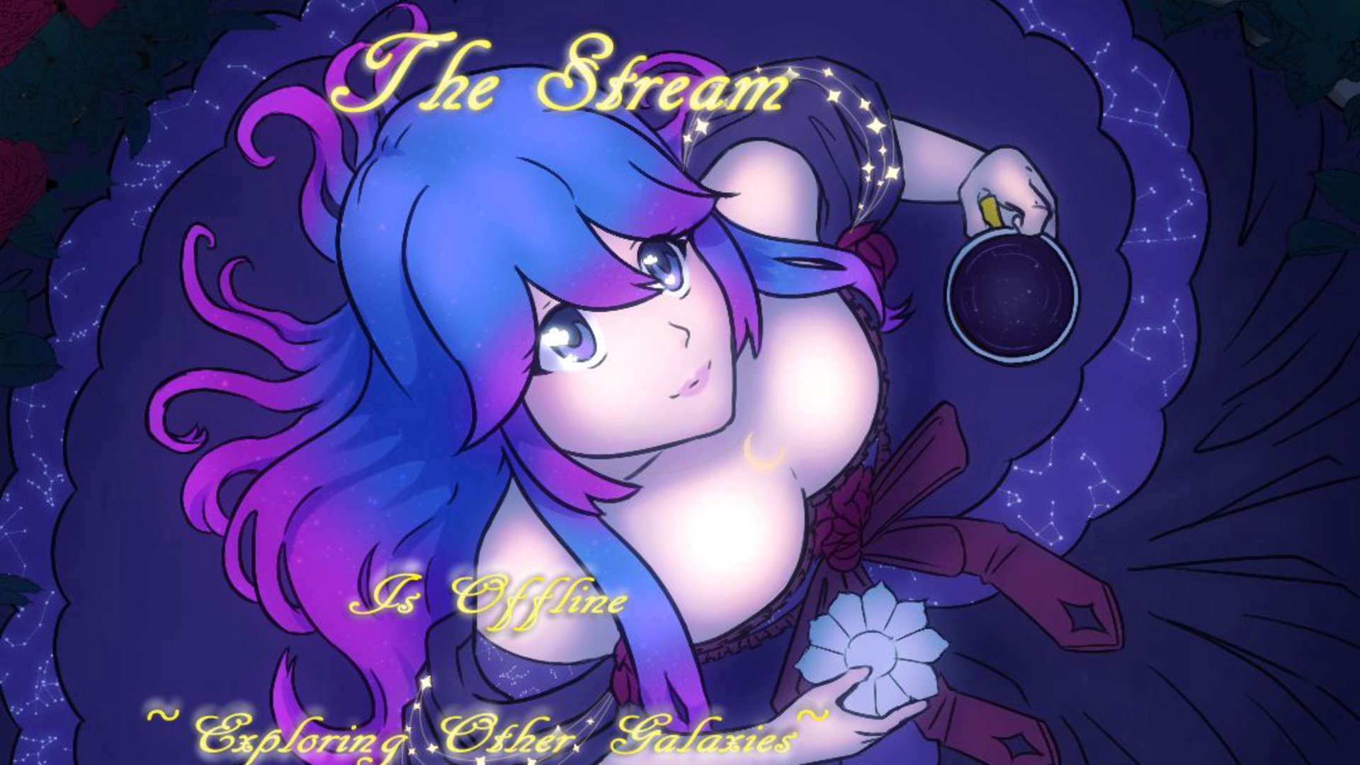 Middykita banner