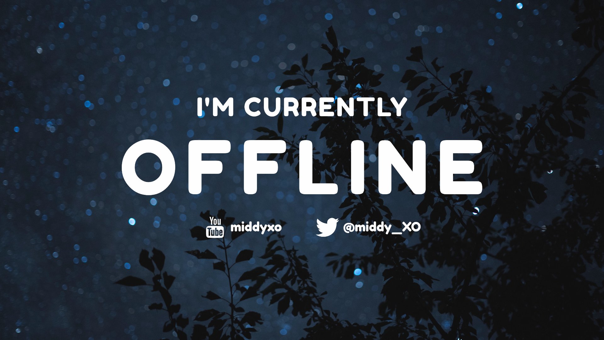 middyXO banner
