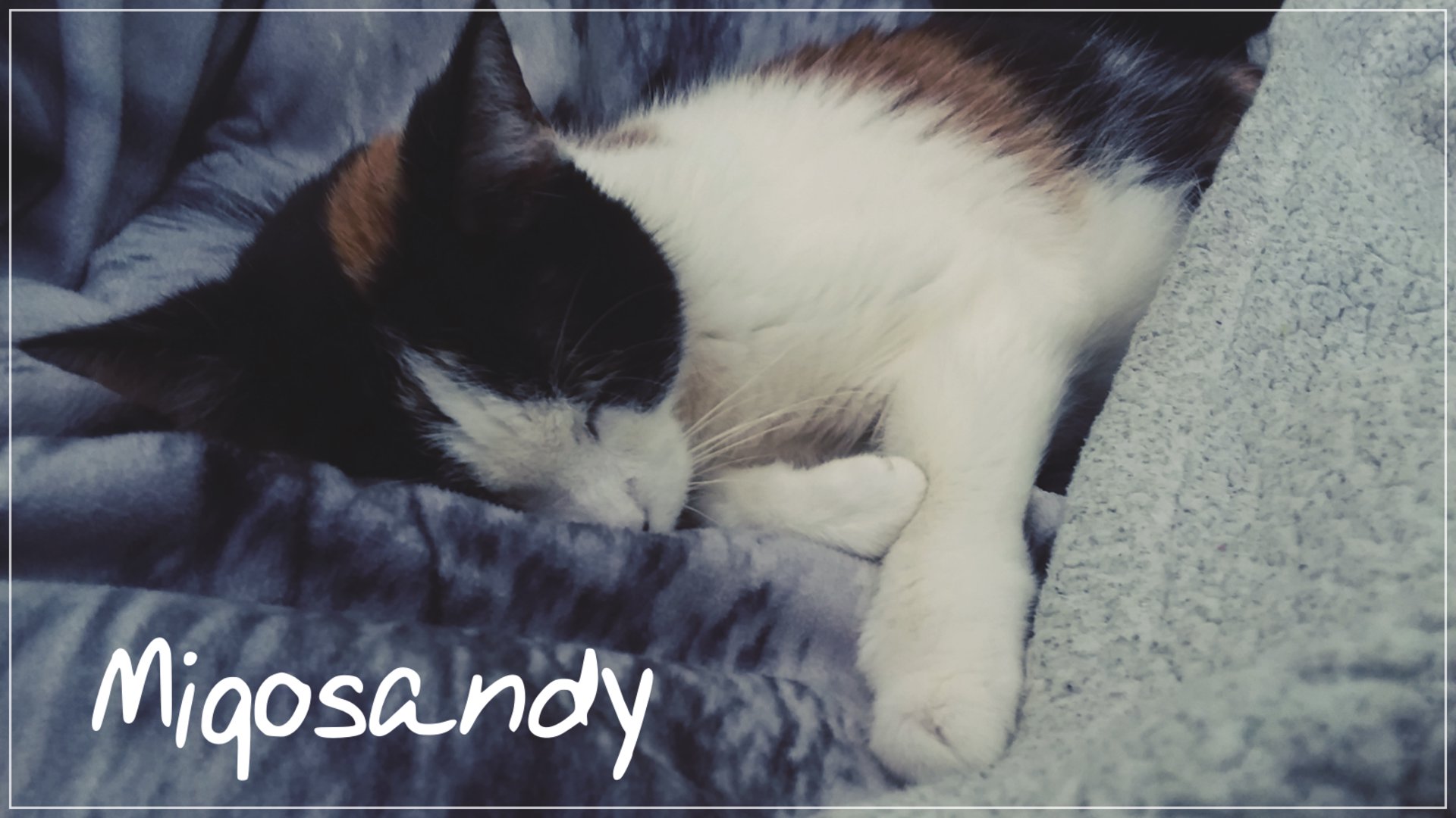 miqosandy banner