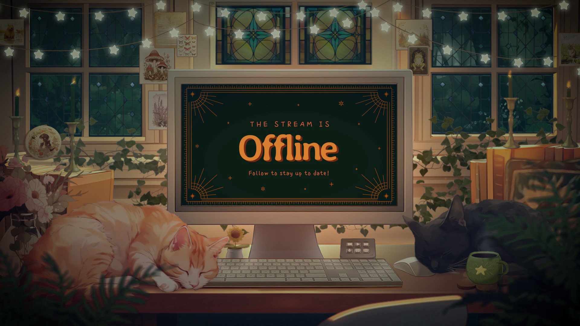 MiracleKitten banner