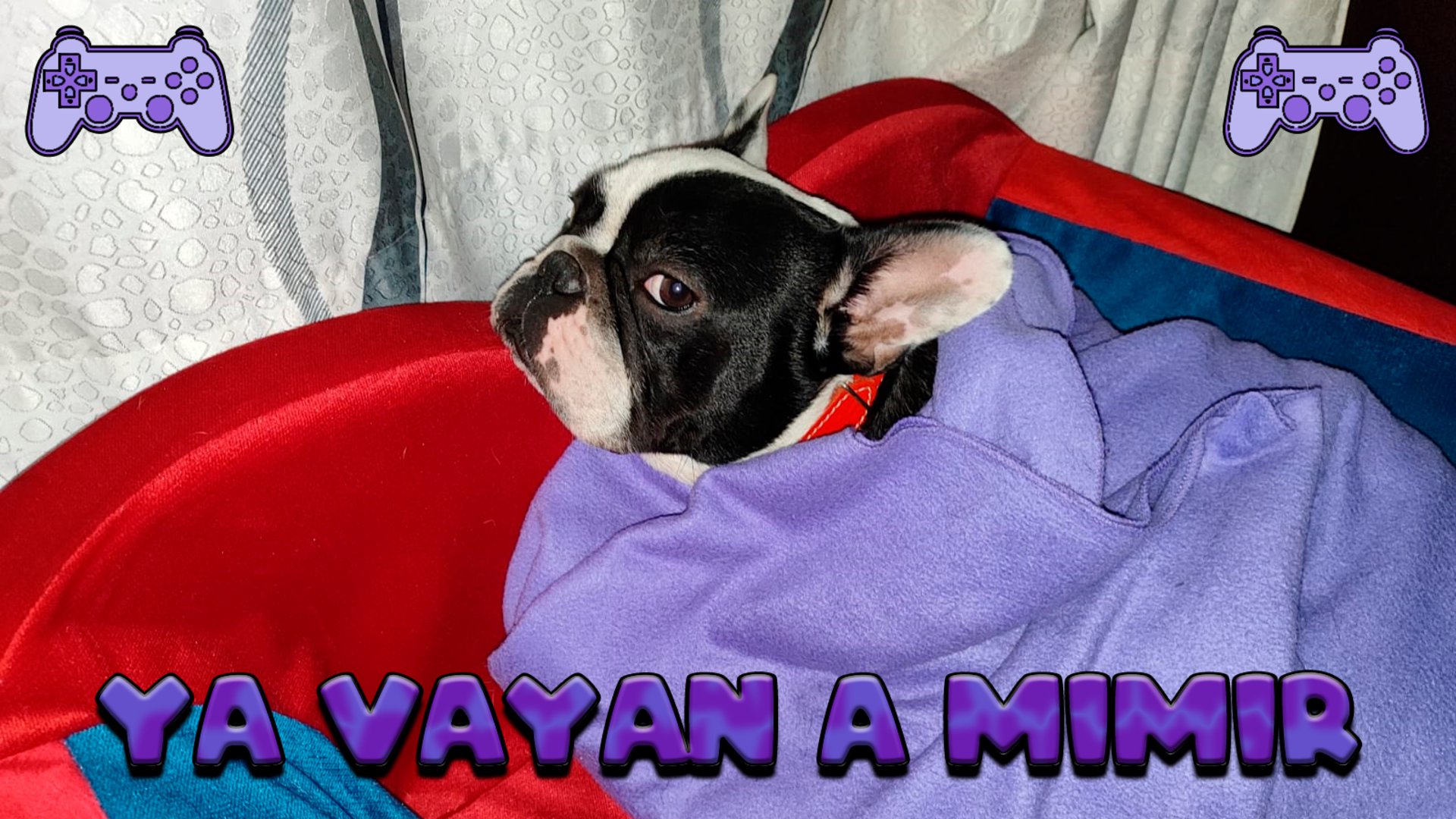 mirella_reyes banner