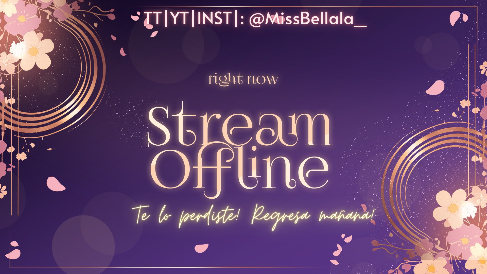 MissBellala_ banner