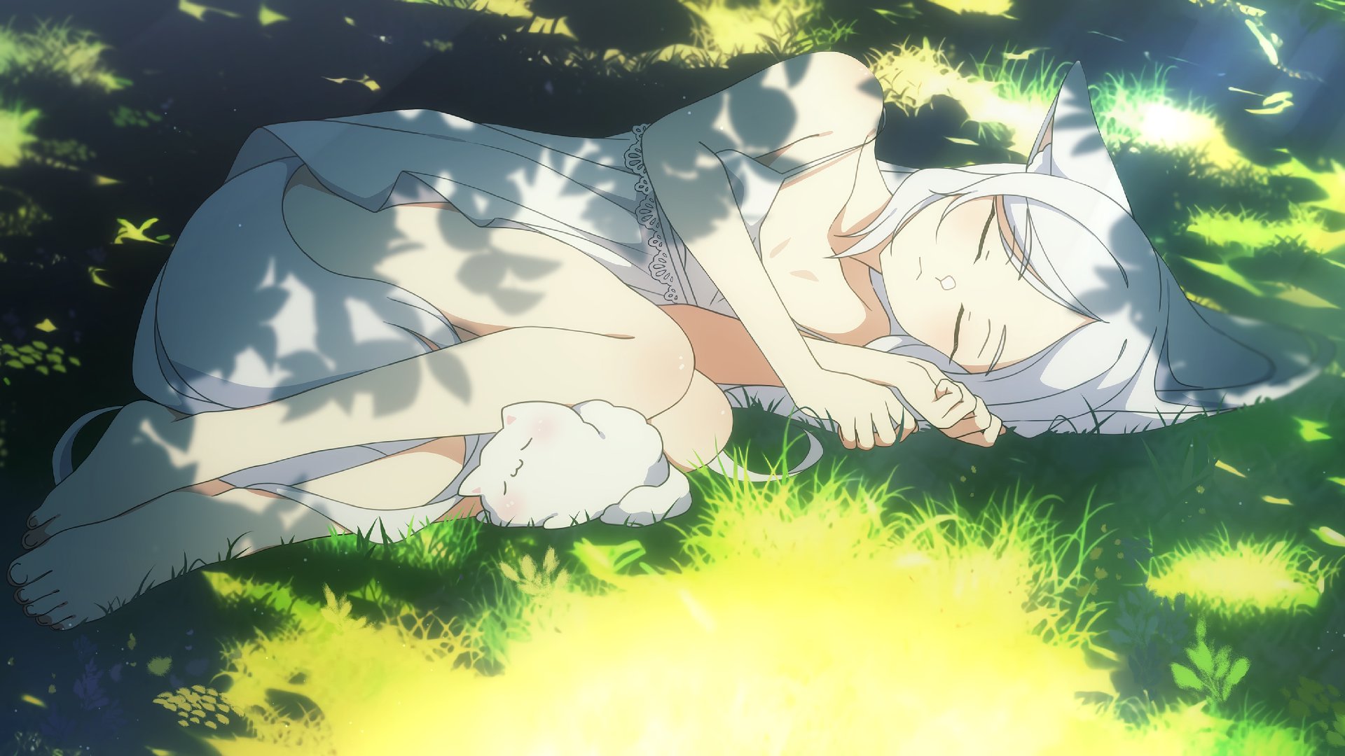Mofu Mollis banner