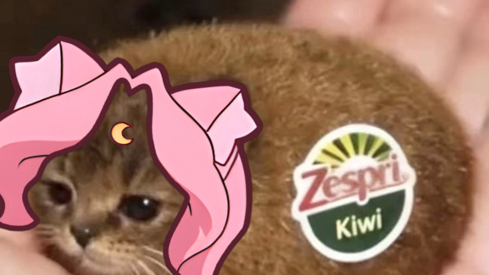 Meowmoonified banner