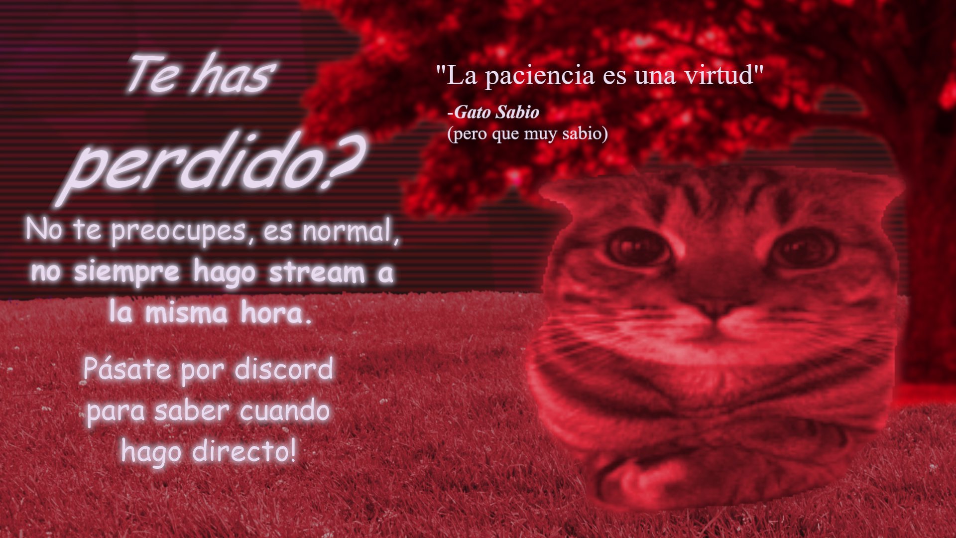 Mortlad_T banner