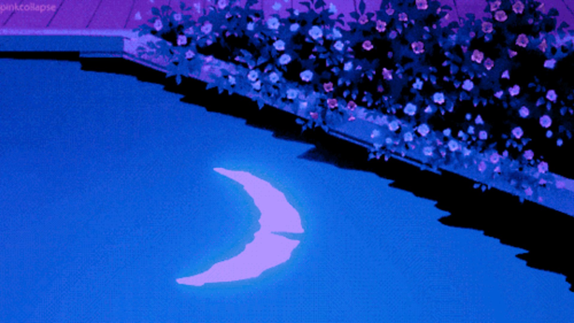 moxieswaygan banner